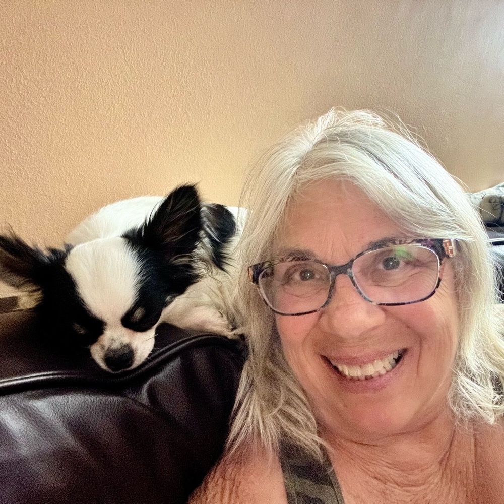 Meet your Posher, Kittie